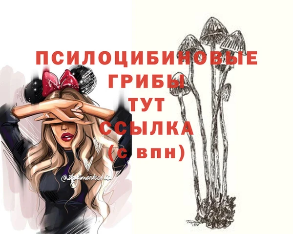 индика Куйбышев