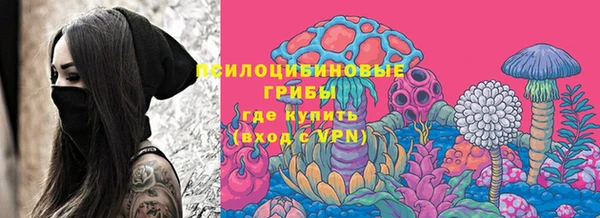 индика Куйбышев