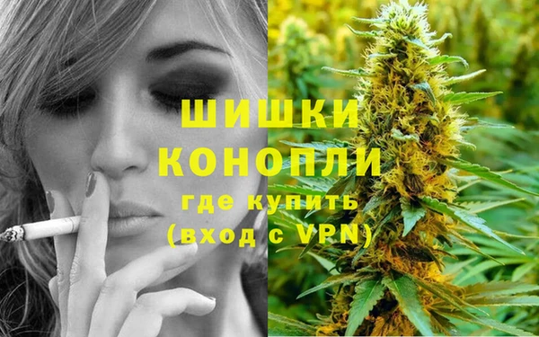 индика Куйбышев
