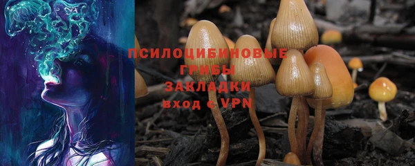 прущая мука Кукмор